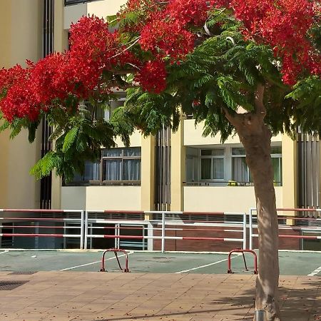 San Bartolomé Tropical House Near Beach&Yumbo מראה חיצוני תמונה