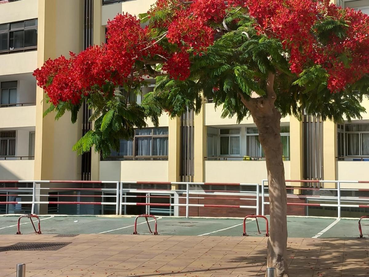 San Bartolomé Tropical House Near Beach&Yumbo מראה חיצוני תמונה
